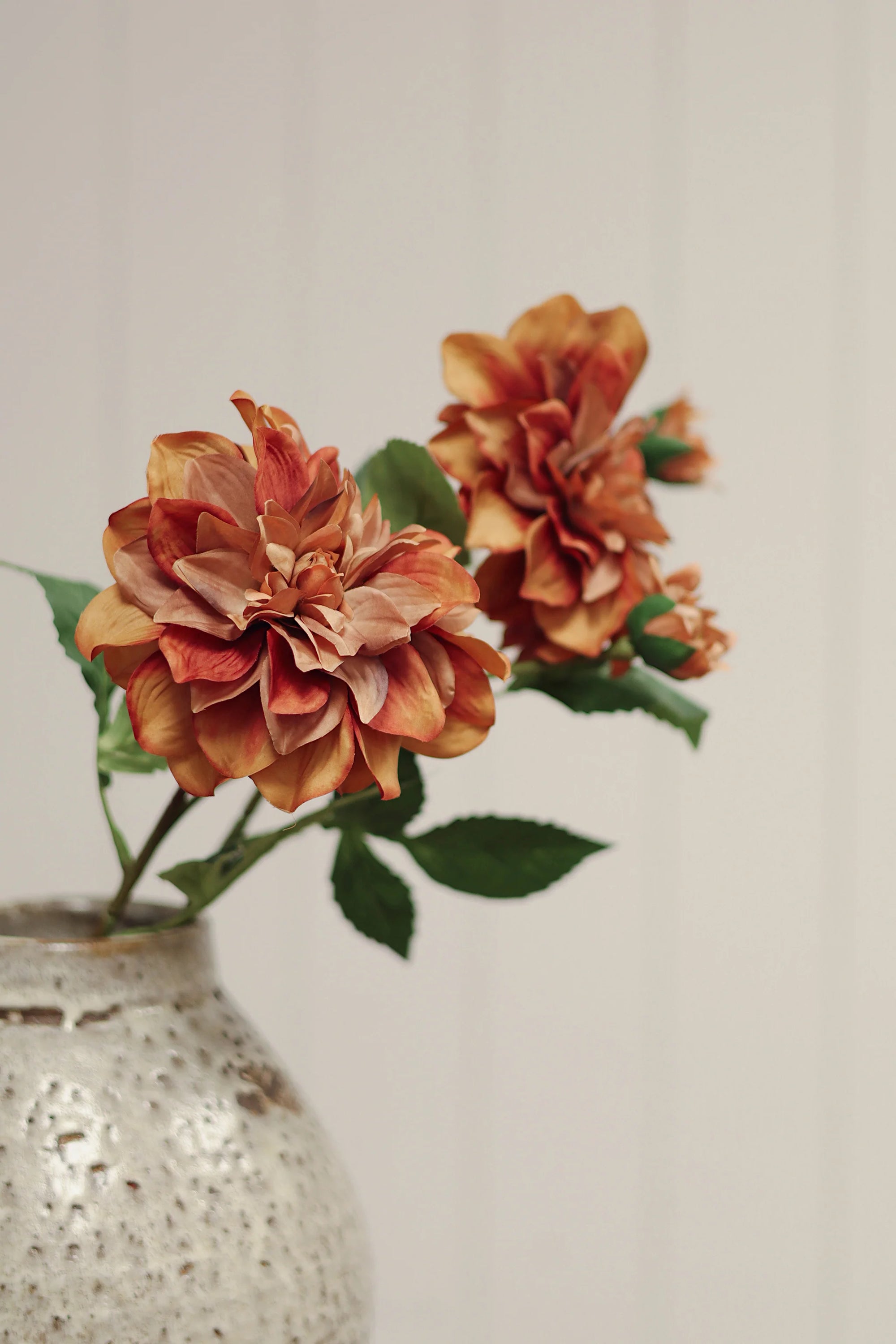 Dahlia Stem Terracotta