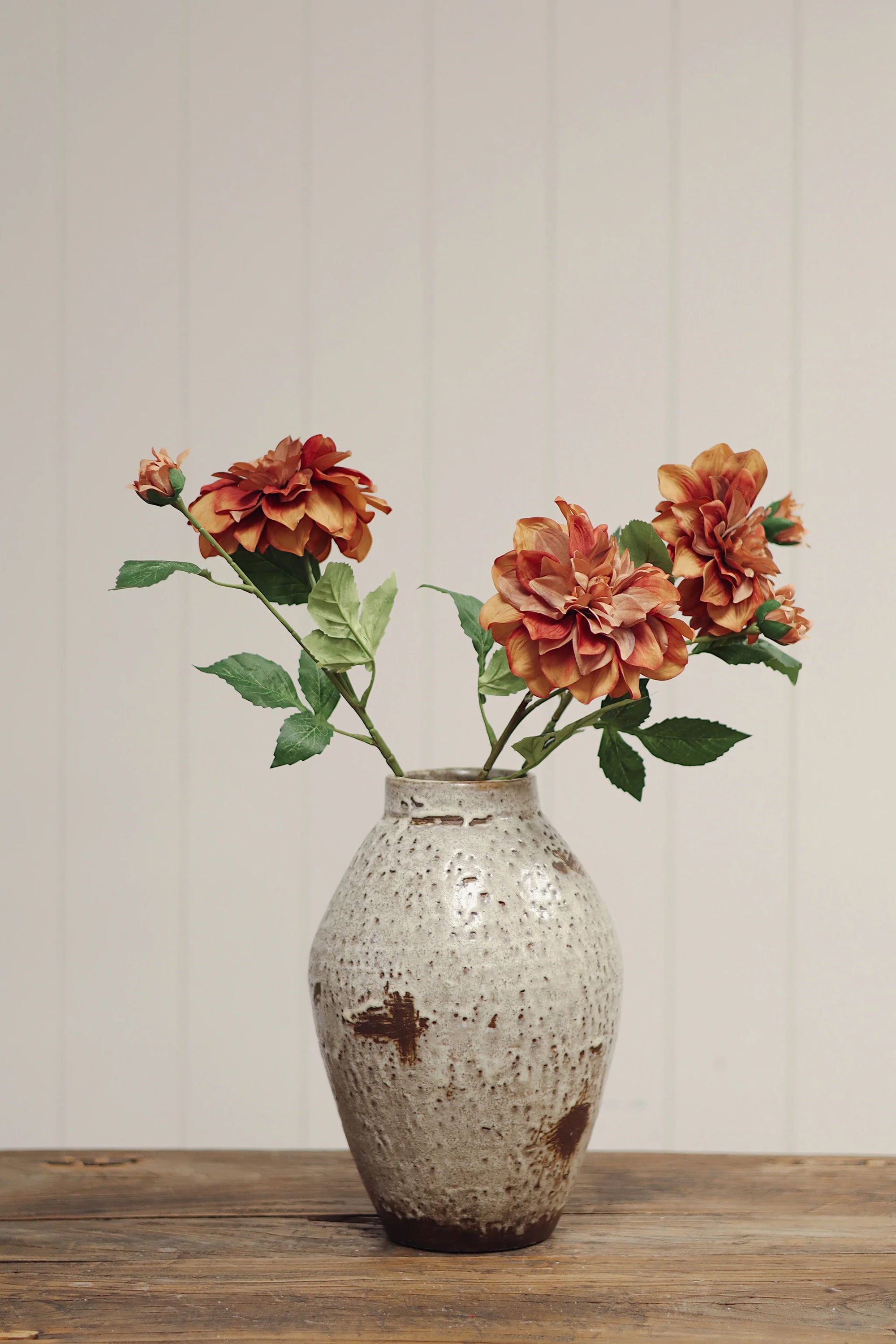 Dahlia Stem Terracotta