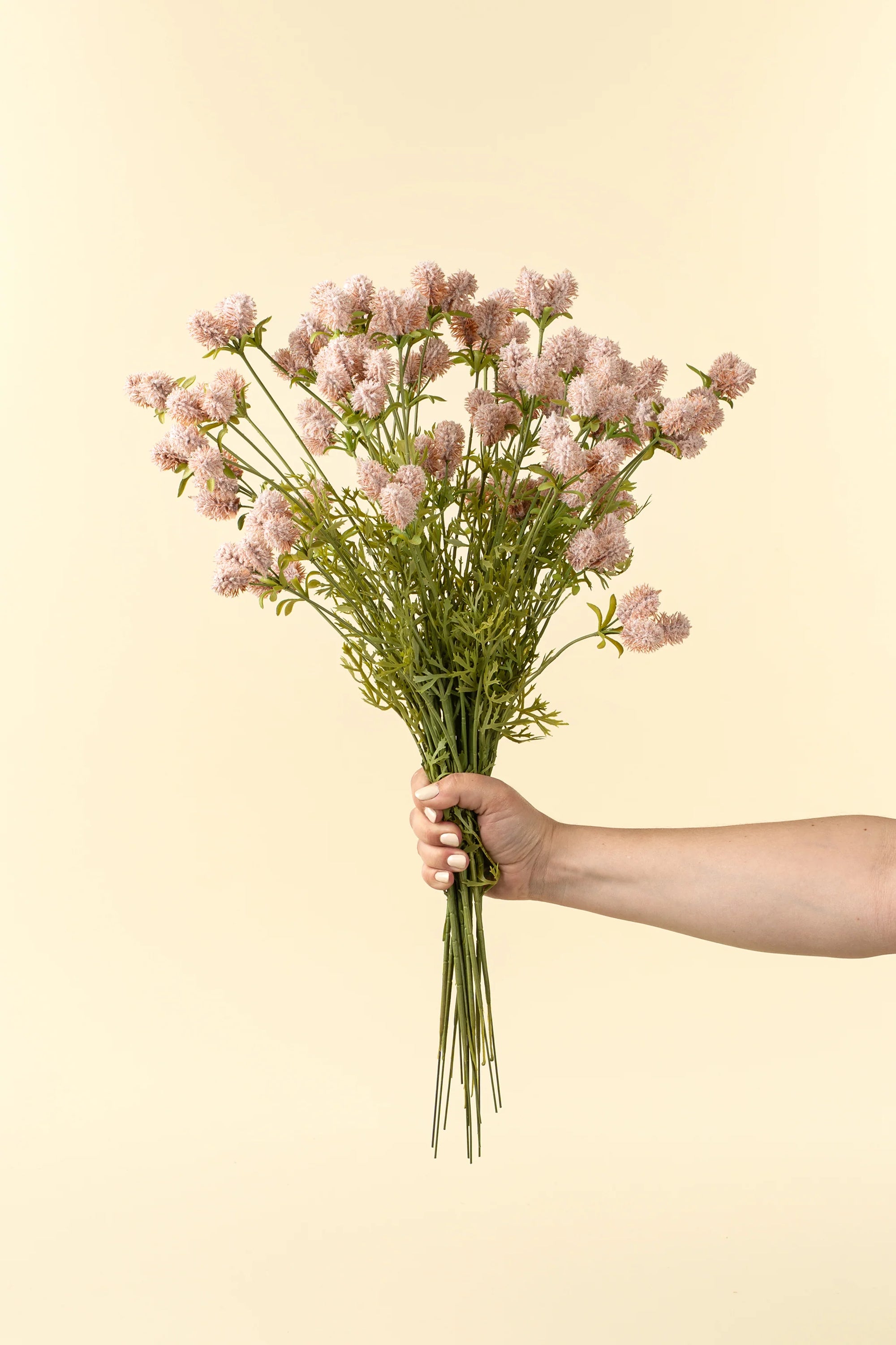 Dandelion Spray
