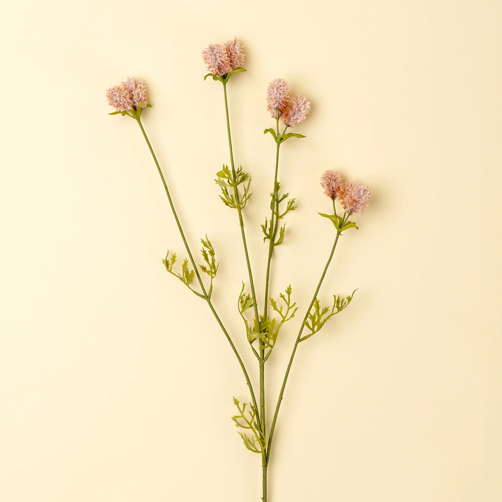 Dandelion Spray