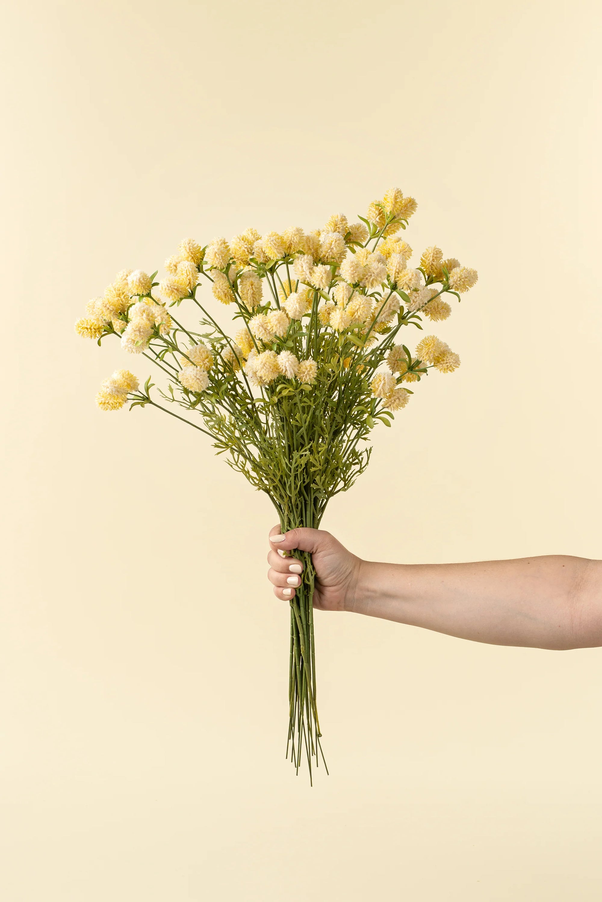Dandelion Spray