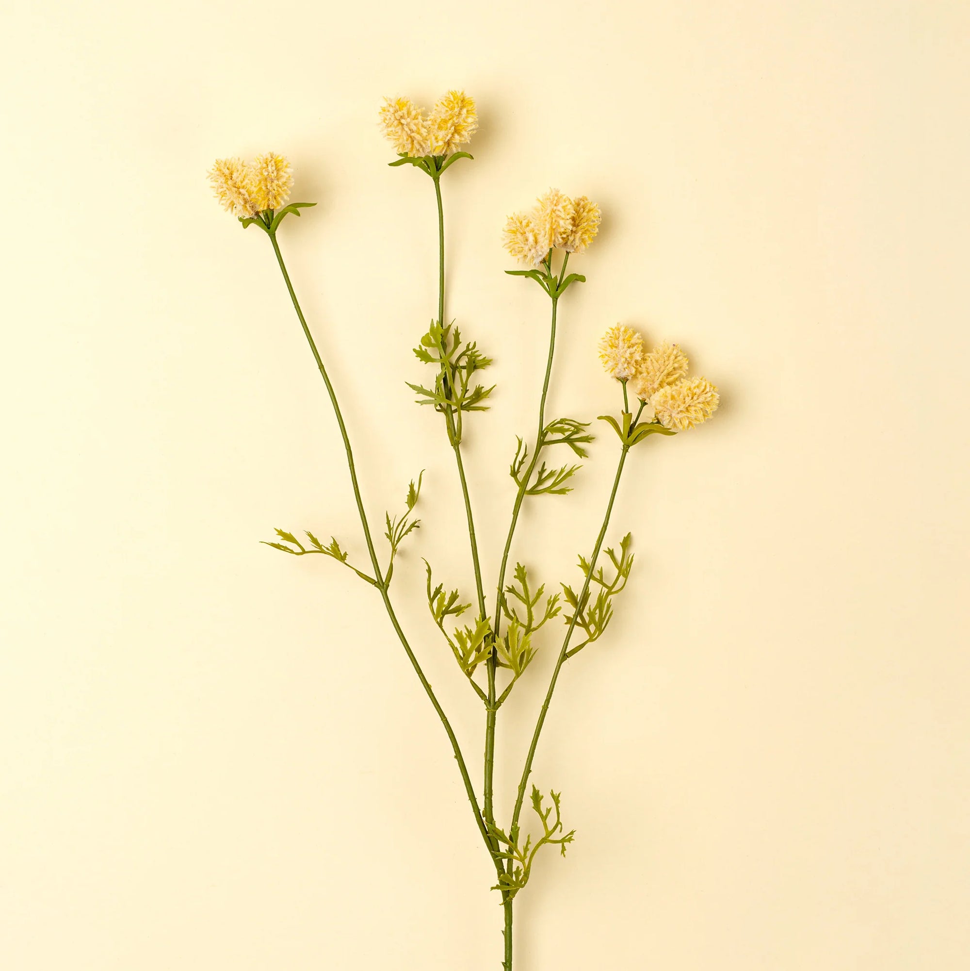 Dandelion Spray