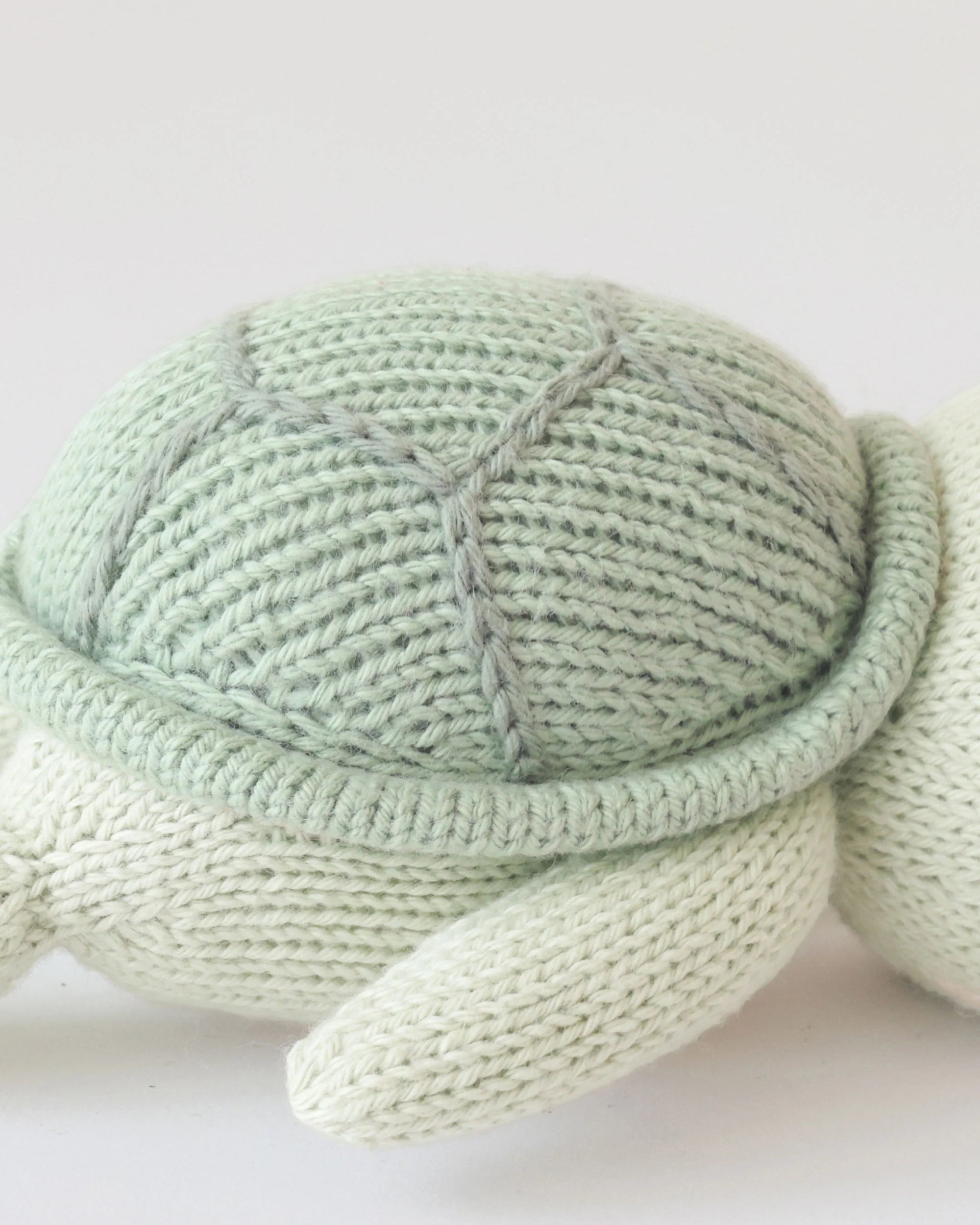 C+K Baby Sea Turtle