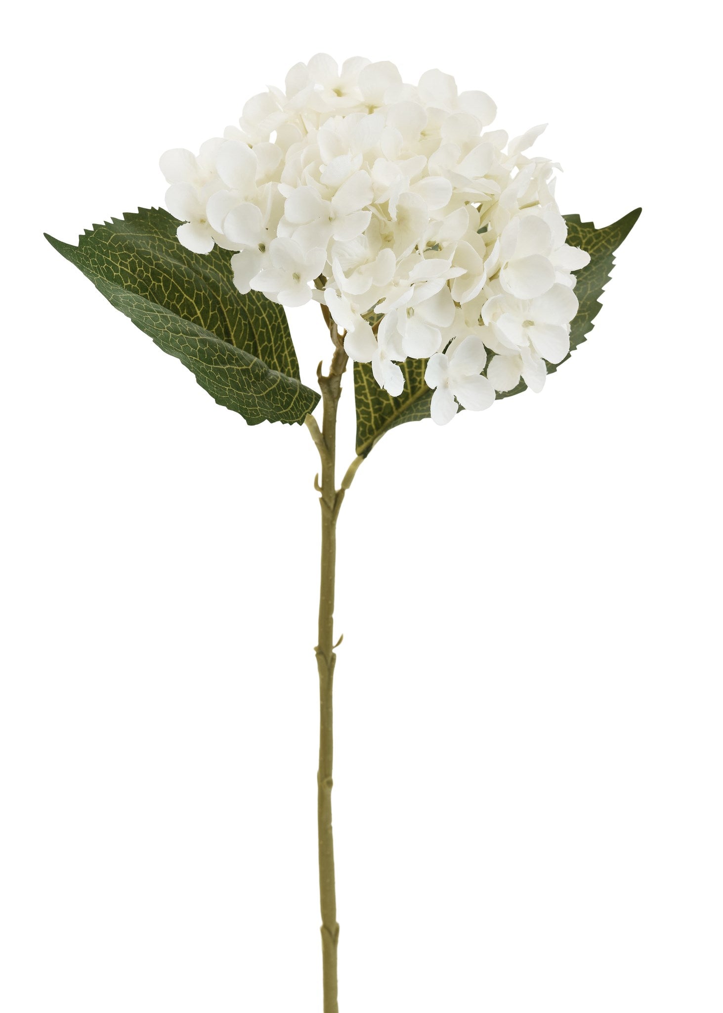 Hydrangea Spray White