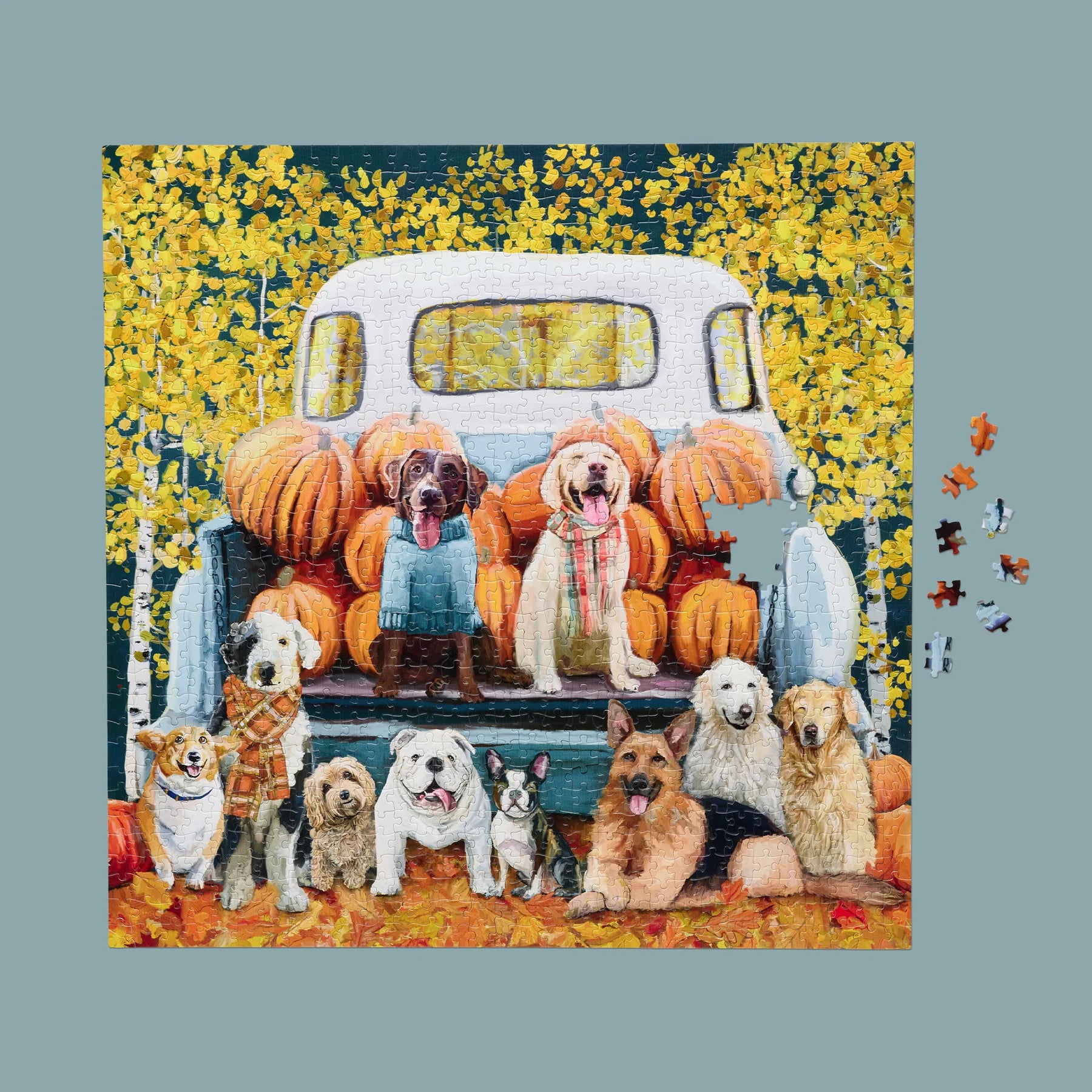 Puzzle Pumpkin Pals 1000pc