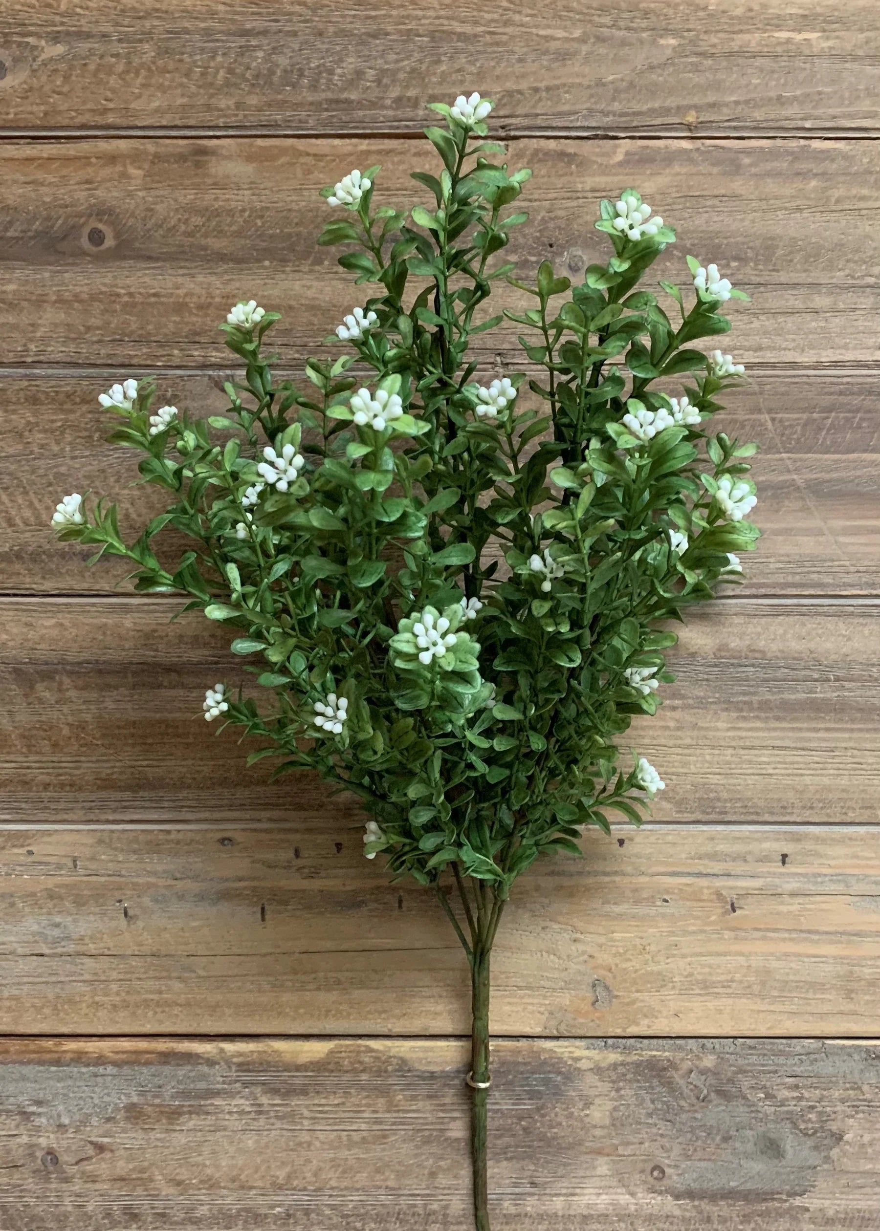 Boxwood Bush 18"
