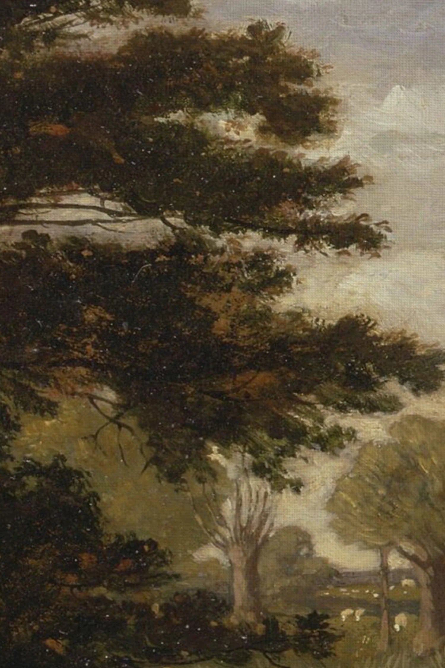 Under the Ancient Tree 16x12
