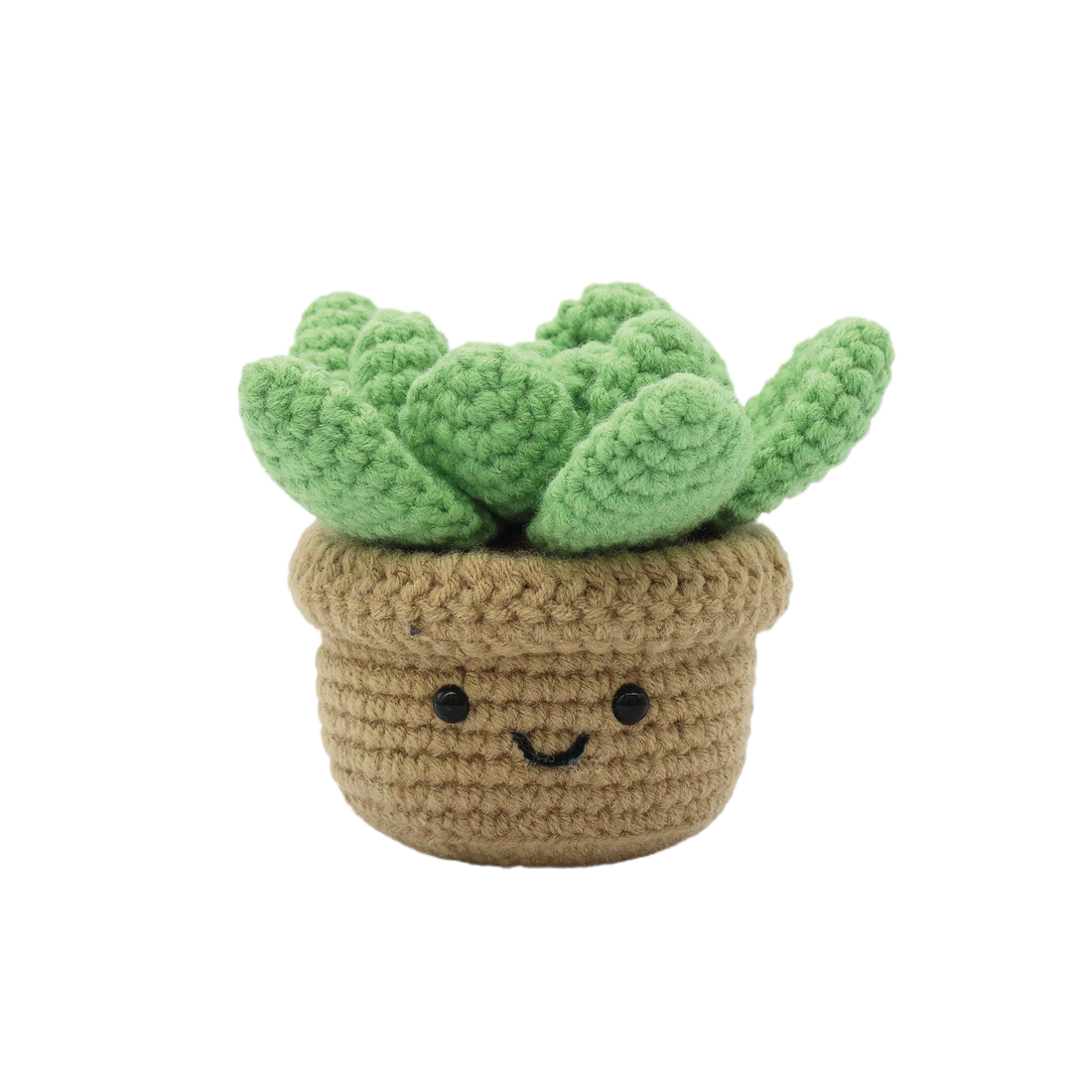 DIY Crochet Kit Succulent