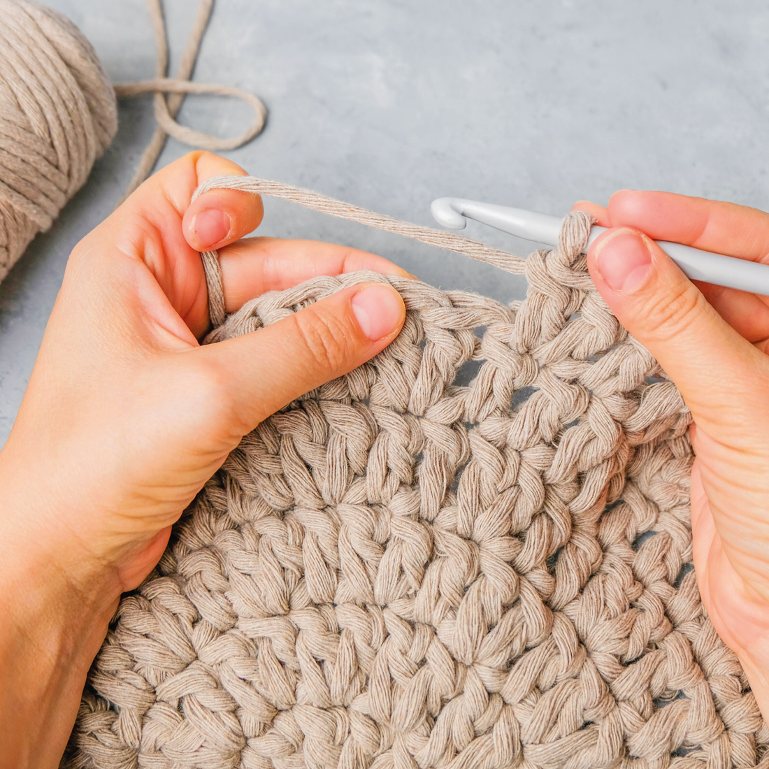 DIY Crochet Kit Succulent