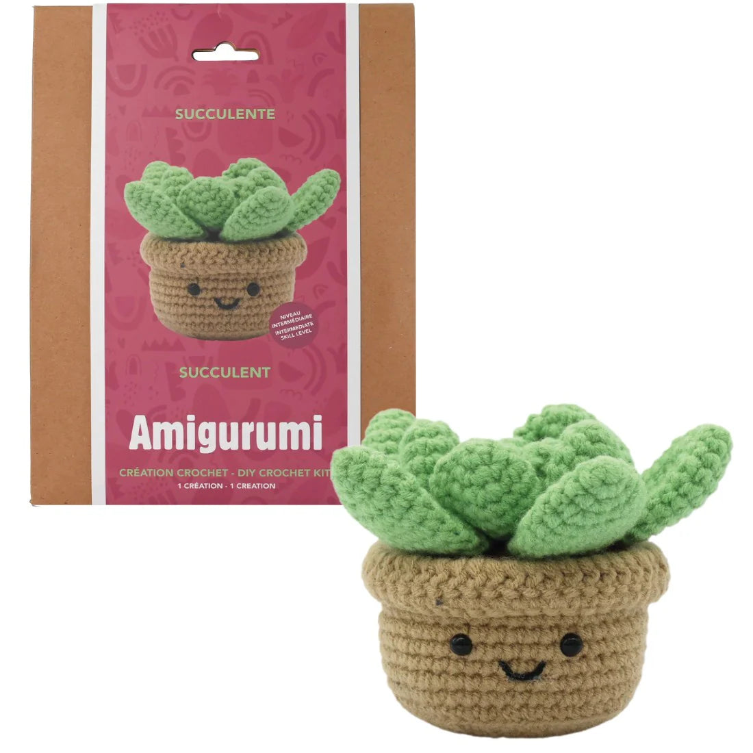 DIY Crochet Kit Succulent