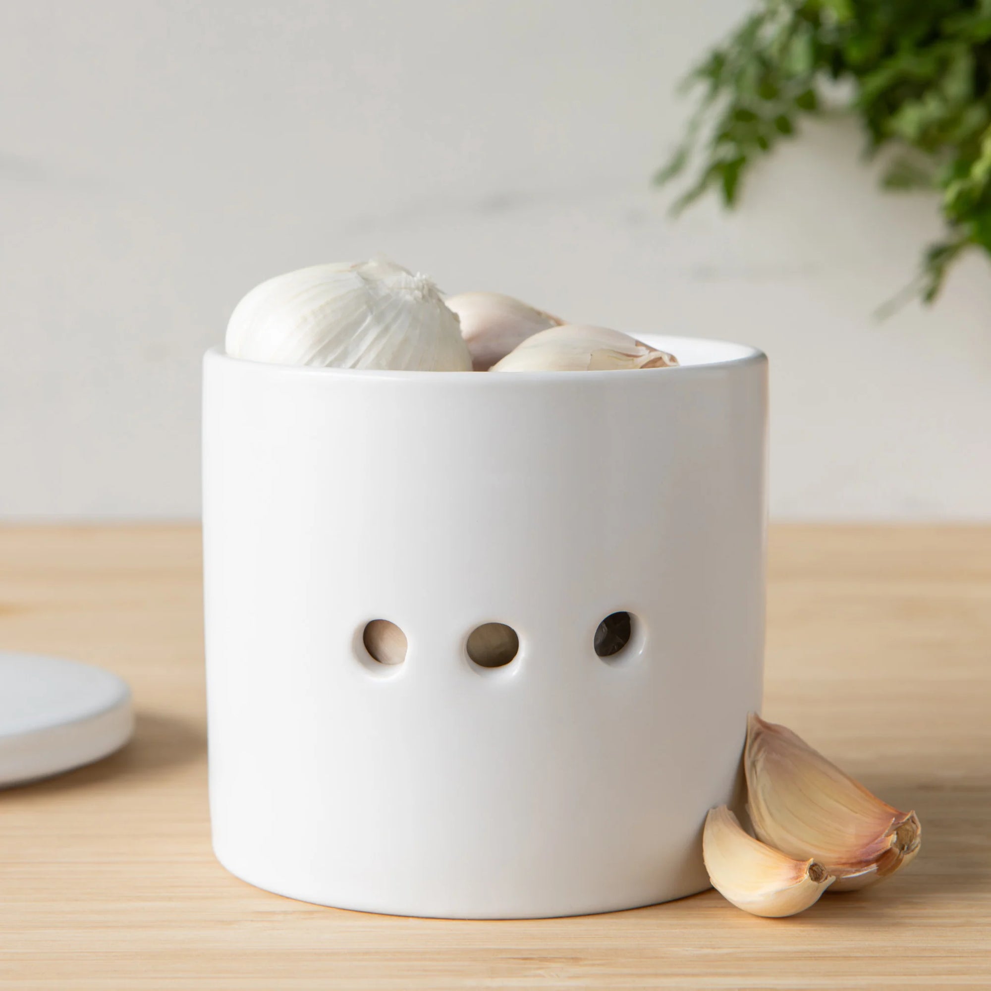 Garlic Keeper Matte White