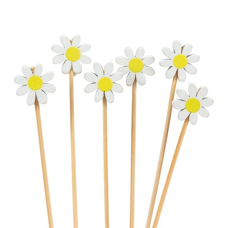 Pick Wht Daisy 100Pc
