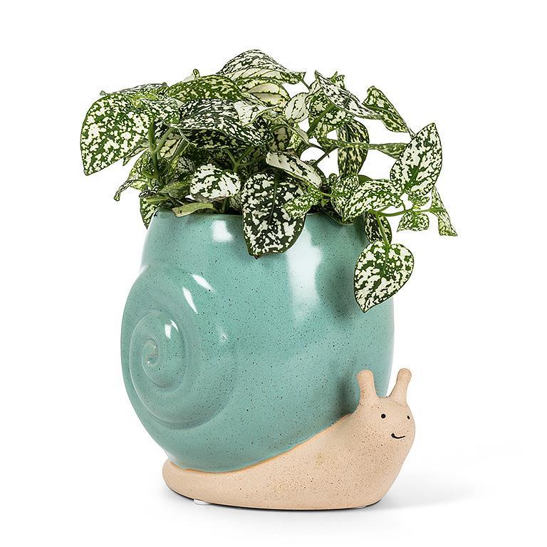 Planter Snail Tall