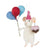 Mouse Birthday