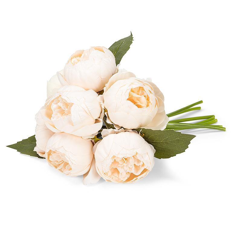 Peony Bouquet Ivory
