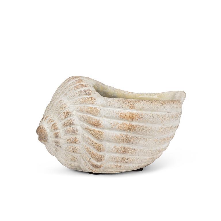 Planter Conch Sm