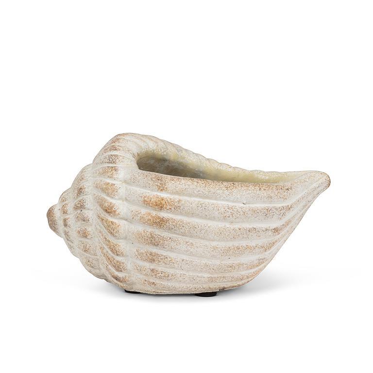 Planter Conch Sm