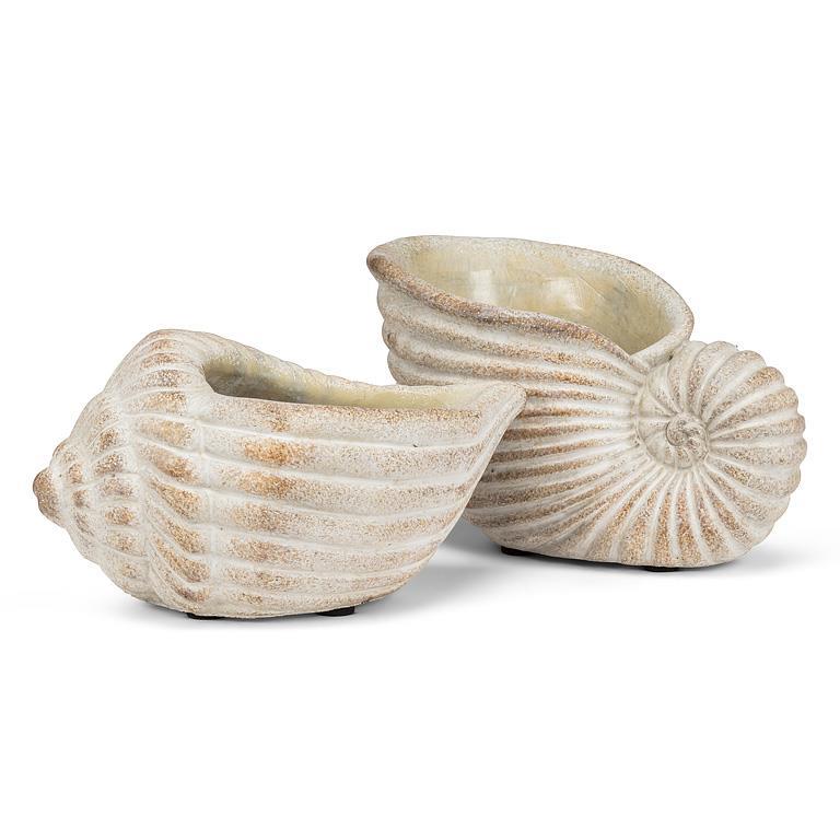 Planter Conch Sm