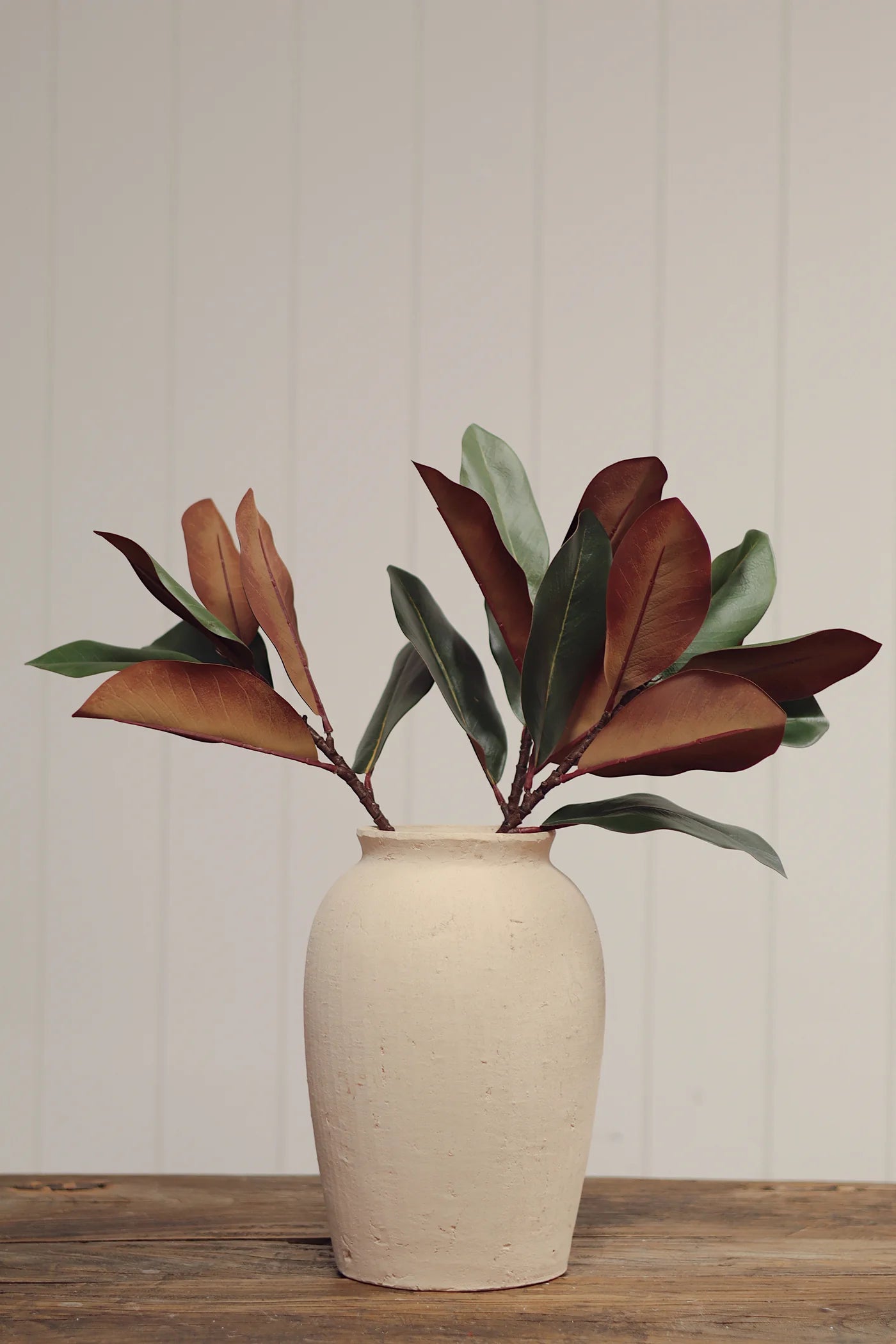 Magnolia Leaf Branch