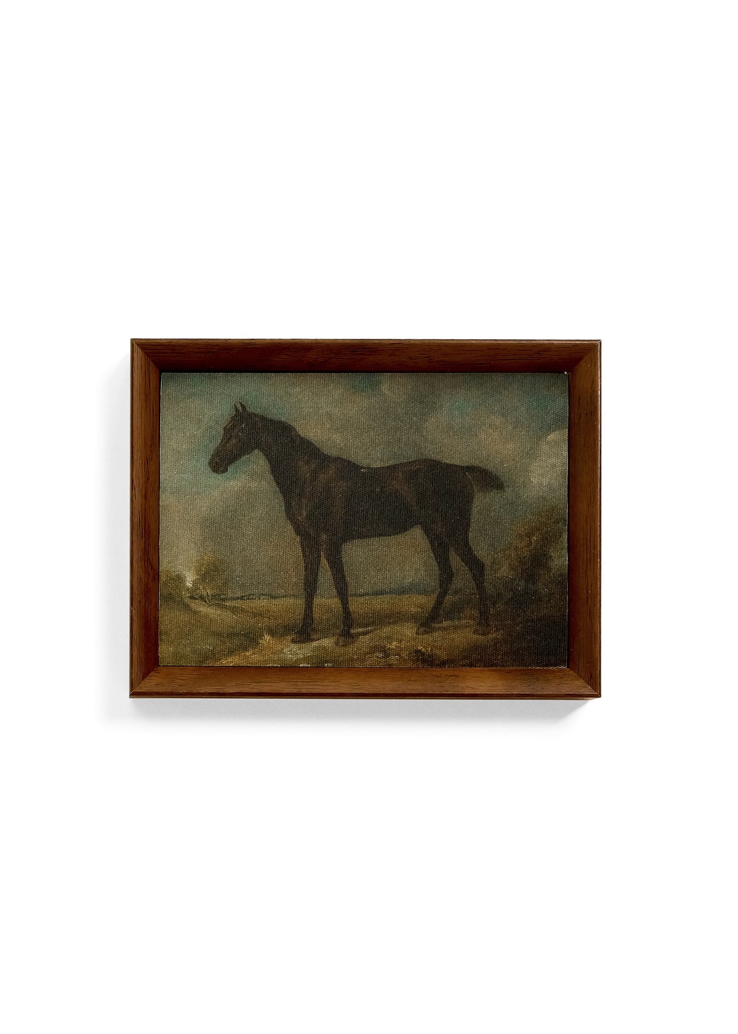 Print Horse