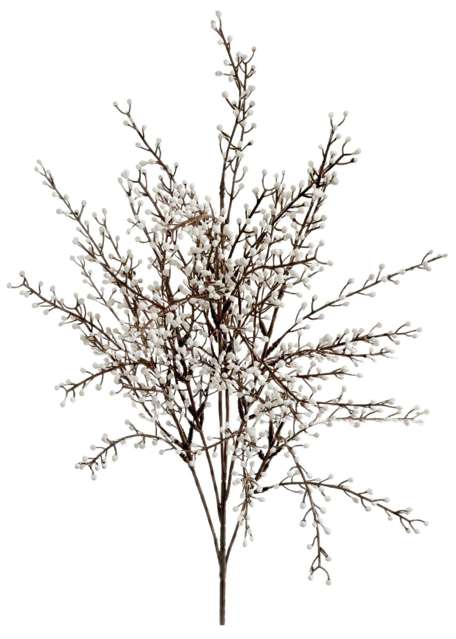 Heather Stem Brn/Crm
