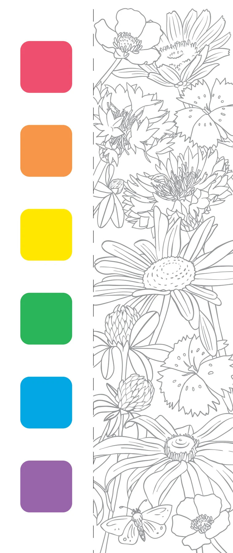 Watercolour Kit
