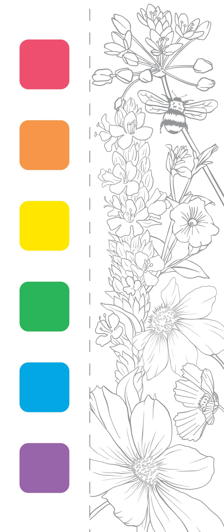 Watercolour Kit