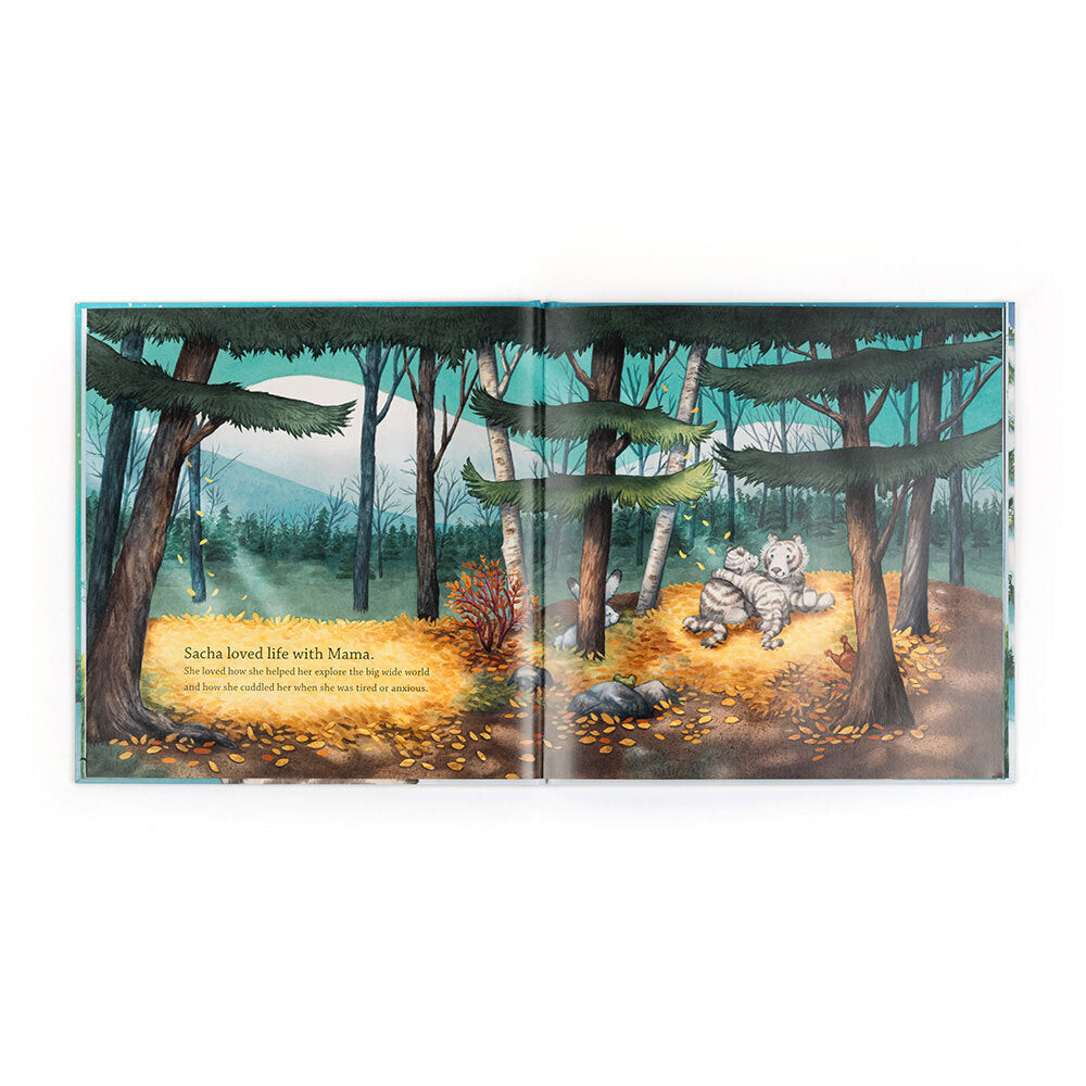 Book Sacha and the Most Wonderful Thing Book