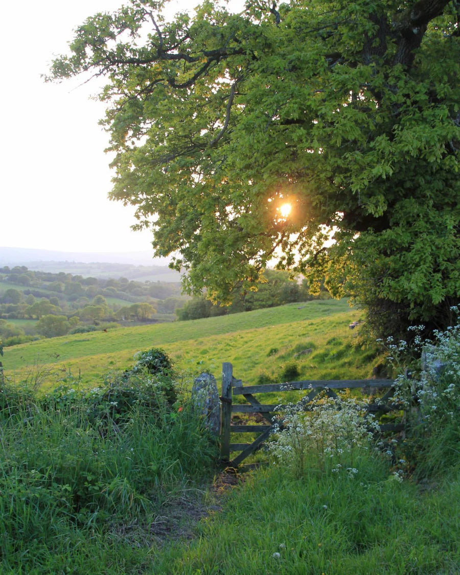 Countryside Candle Bright