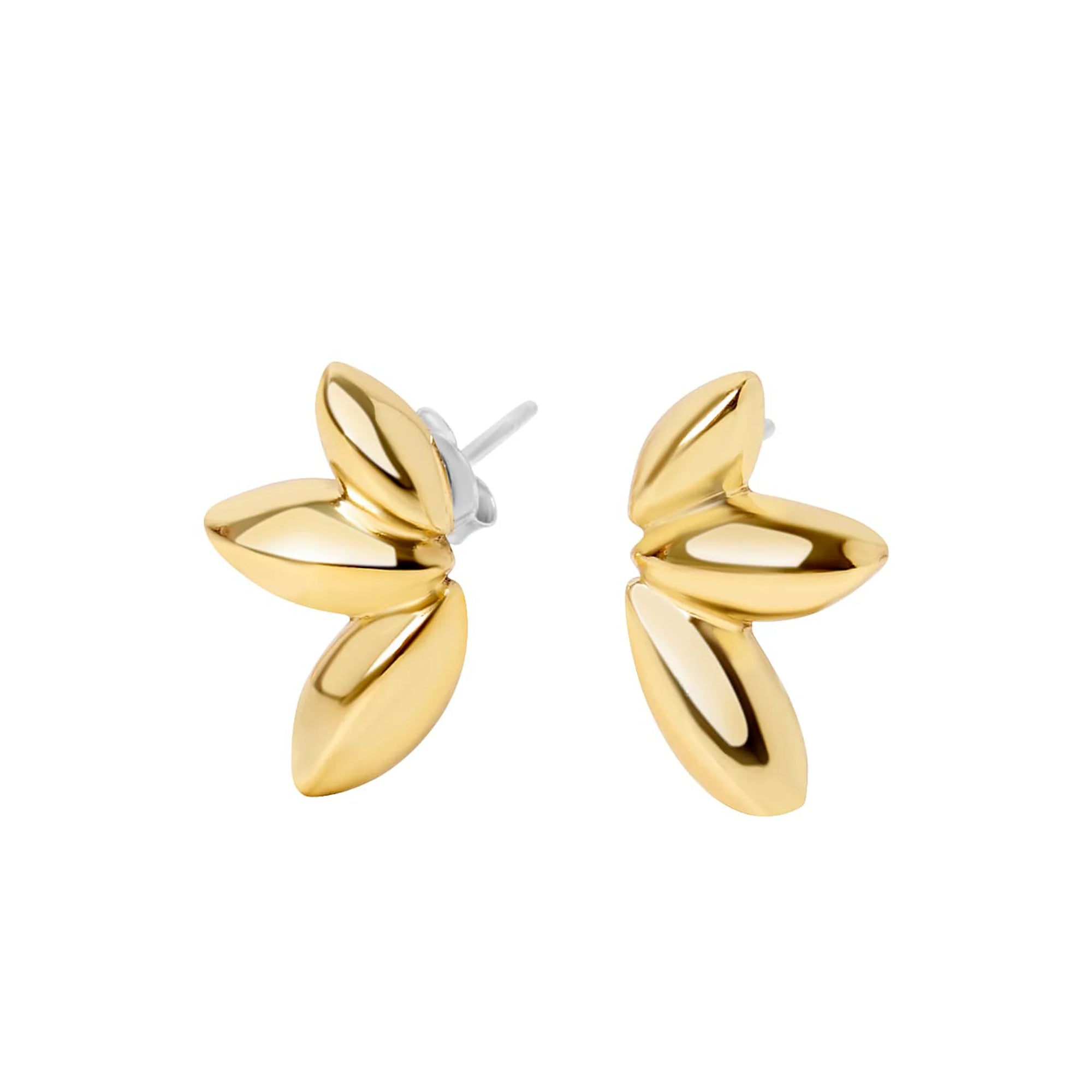 Paloma Stud