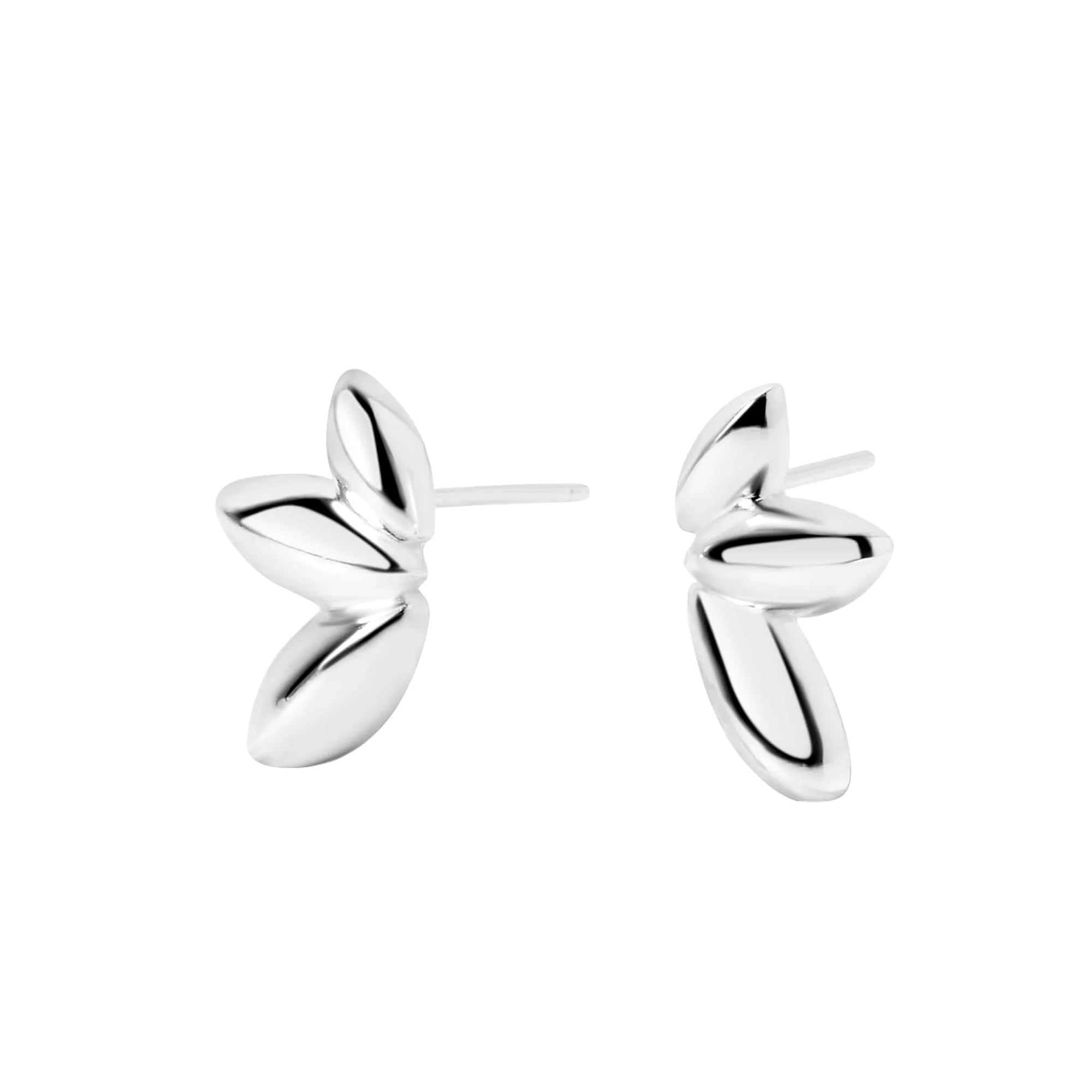 Paloma Stud