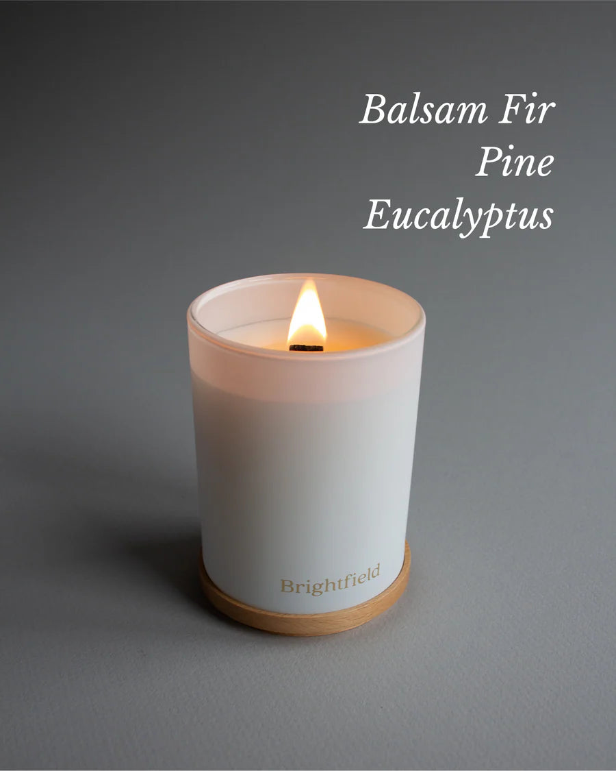 Evergreen Candle Bright
