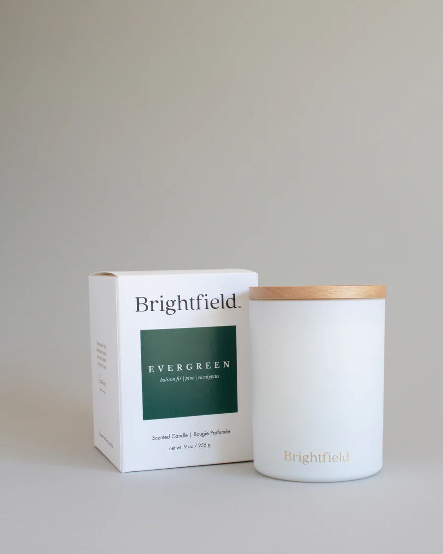 Evergreen Candle Bright