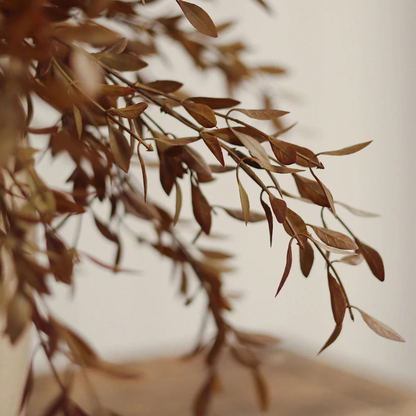 Willow Leaf Spray