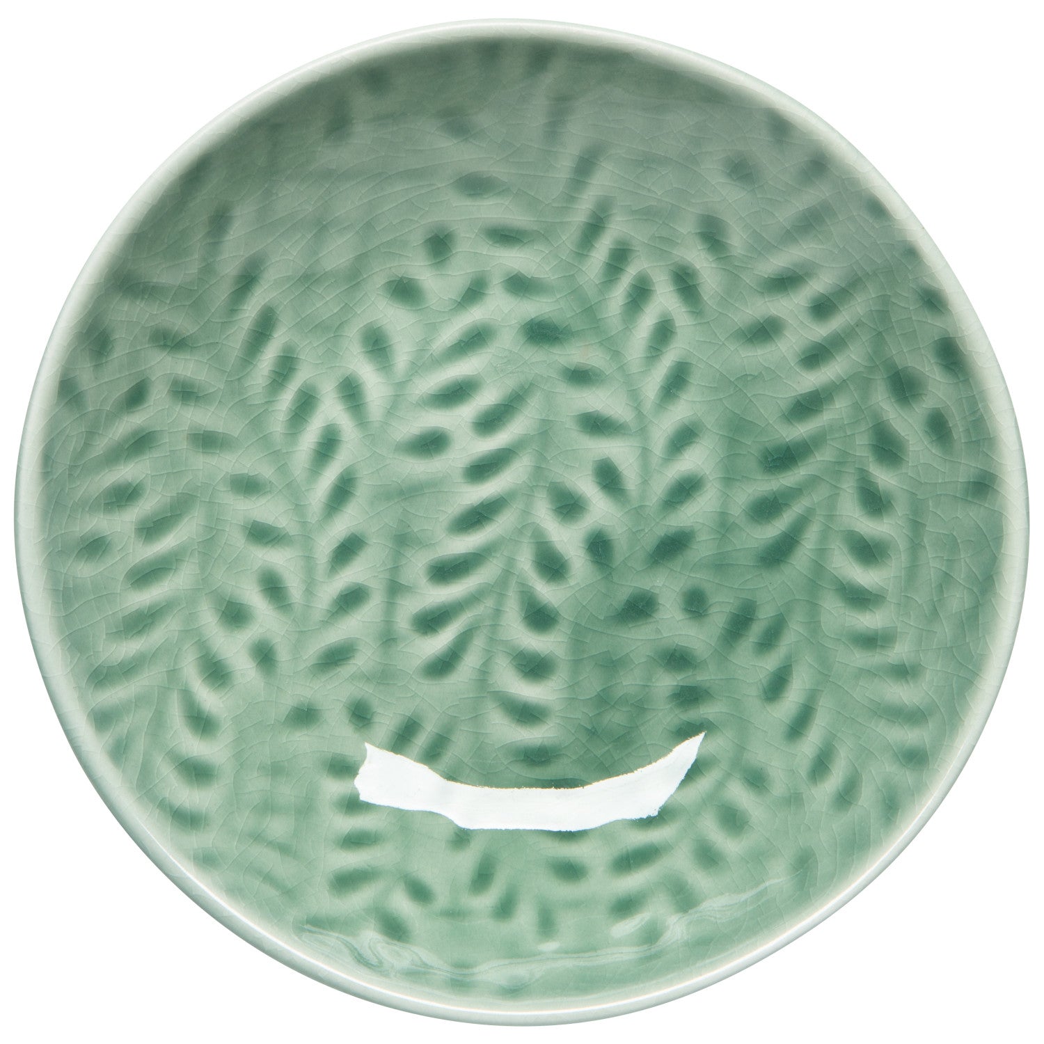 Dish Opus Spruce