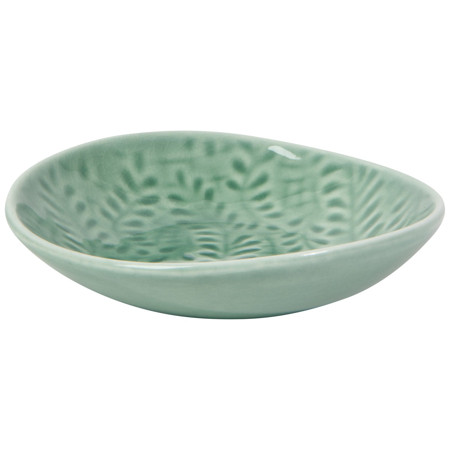Dish Opus Spruce