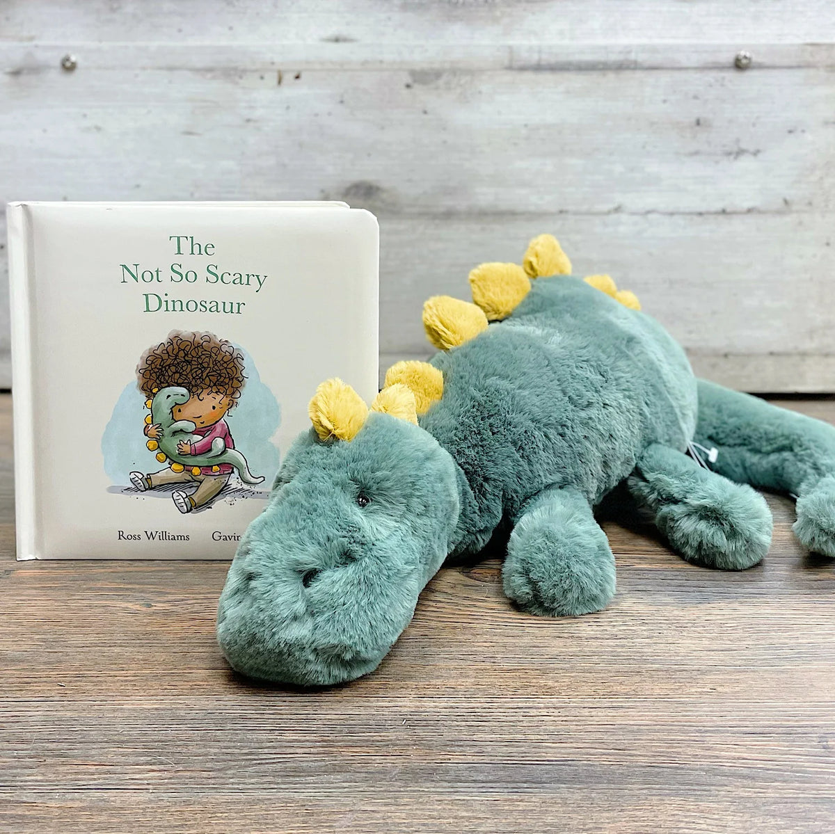 Book The Not So Scary Dinosaur