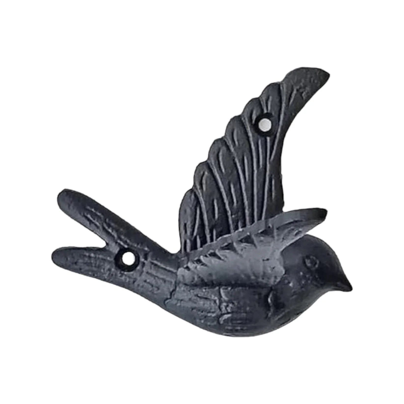 Hook Soaring Bird