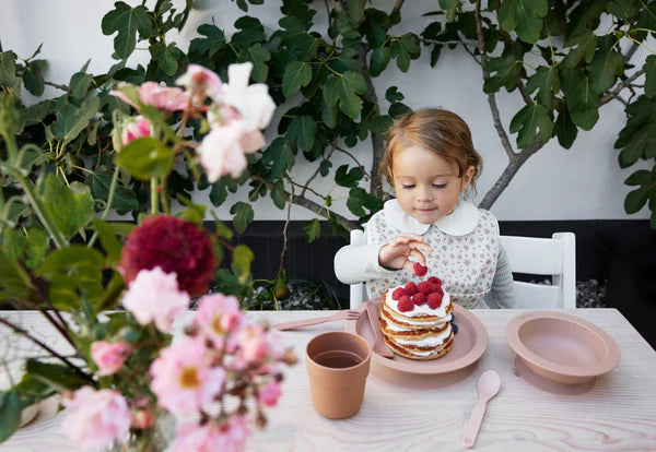 Bib w/Collar Autumn Rose