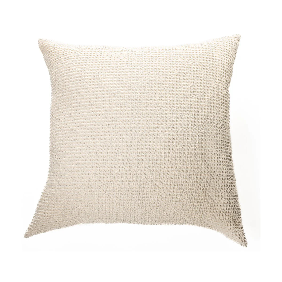 Cushion Creamy