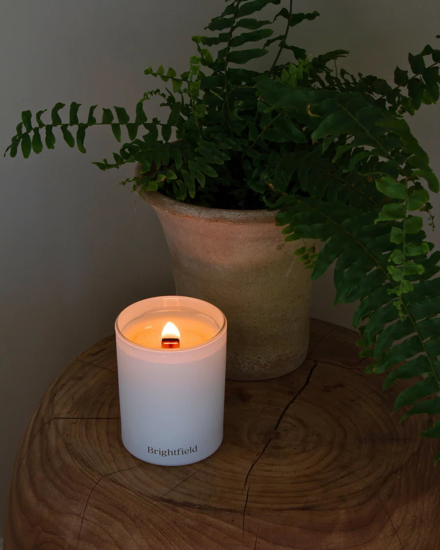Evergreen Candle Bright