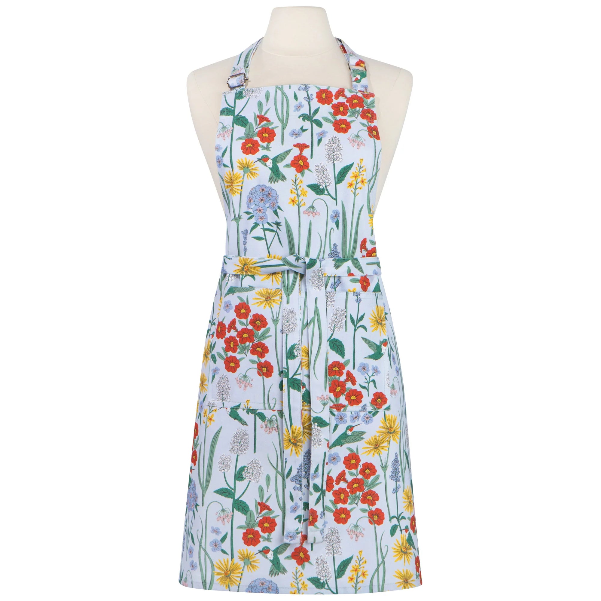 Apron Hummingbird