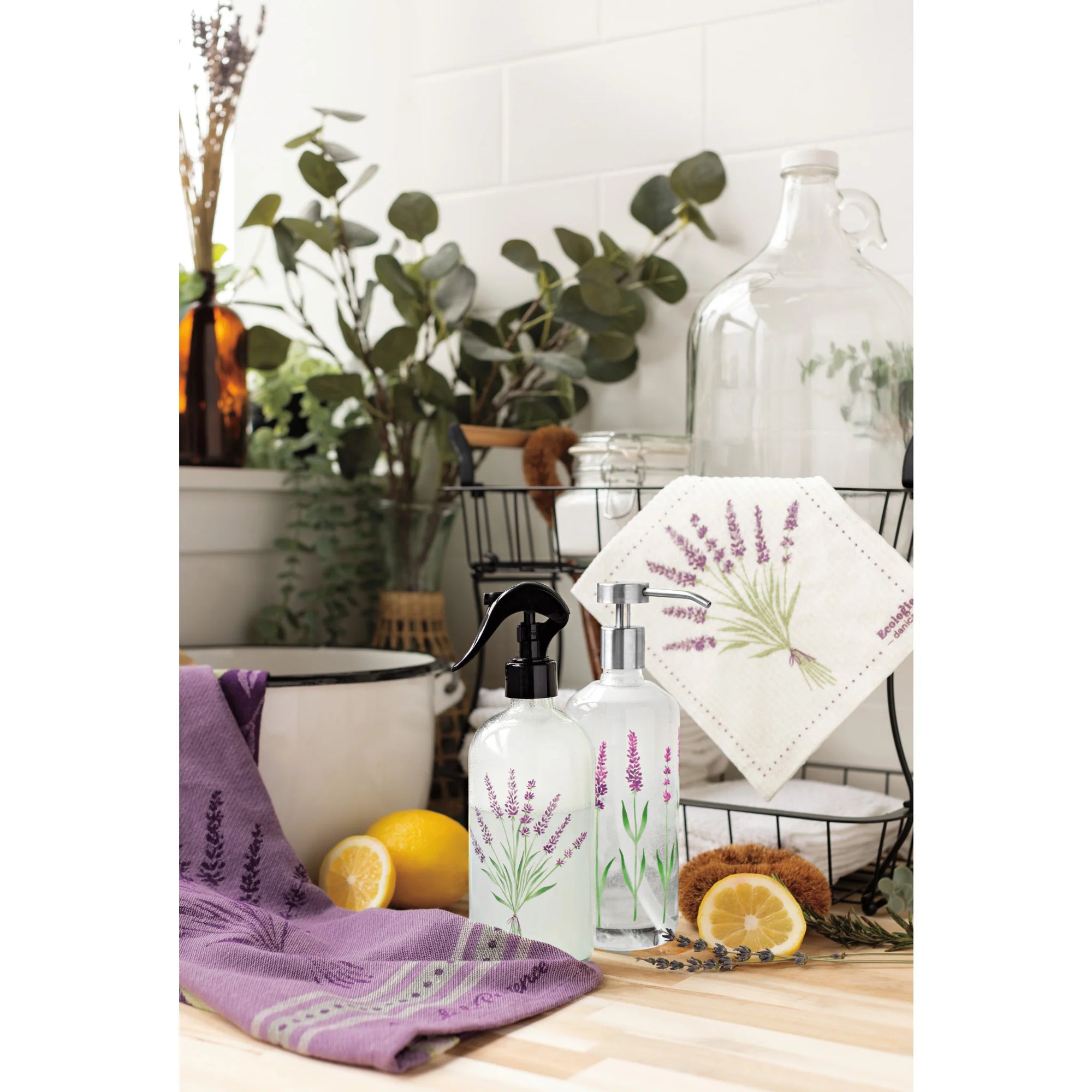 Tt Lavender Jacq